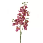 Orchidea művirág Rózsaszín