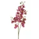 Orchidea művirág Rózsaszín