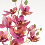 Orchidea művirág Rózsaszín