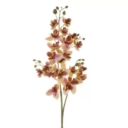 Orchidea művirág Sárga
