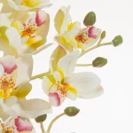 Orchidea művirág Fehér
