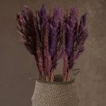 Szárított pampafű Narancssárga 73 cm