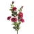 Rózsa 428 Magenta
