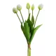 Tulipán 473 Fehér