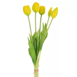 Tulipán 473 Sárga