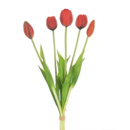 Tulipán 473 Piros