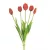 Tulipán 473 Piros