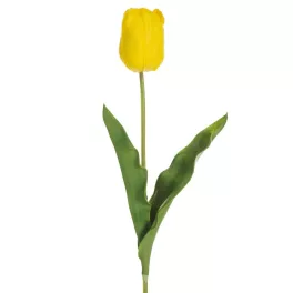 Tulipán 477 Sárga