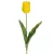 Tulipán 477 Sárga