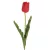 Tulipán 477 Piros