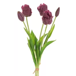 Tulipán 474 Ibolyalila