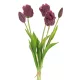 Tulipán 474 Ibolyalila