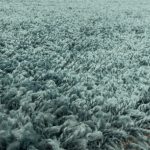 Ay. SYDNEY AQUA 160 x 160 -kör szőnyeg