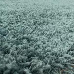 Ay. SYDNEY AQUA 60 X 110 szőnyeg