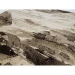 Ber. WENUS 7771 homokszínű 160 x 220 cm szőnyeg