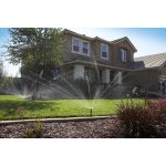 Hunter MP Rotator sávöntöző, sávszóró fúvóka MP-LCS-515 - rögzített, 1,5 x 4,6 m - bal sarokból - beige