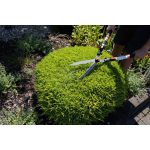 Sövényvágó olló, Strend Pro Garden KT3833A, fekete/narancssárga, alumínium nyél, acél penge, maximum 20 mm átmérő, teleszkópos