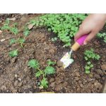 Kerti szerszámkészlet, Strend Pro Garden Ladies Line, 3 db, virágmintás, 1 gereblye, 1 lapát, 1 villa