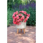 Műanyag virágcserép, Strend Pro Garden, bambuszszál, átmérő: 24,5 cm, magasság: 31 cm, fa lábakkal, kerek