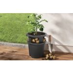 Műanyag burgonyatermesztő cserép, Strend Pro Garden, fekete, átmérő: 35 cm, magasság: 28 cm, 15 l, nyitható ablak a könnyű betakarításhoz, kerek