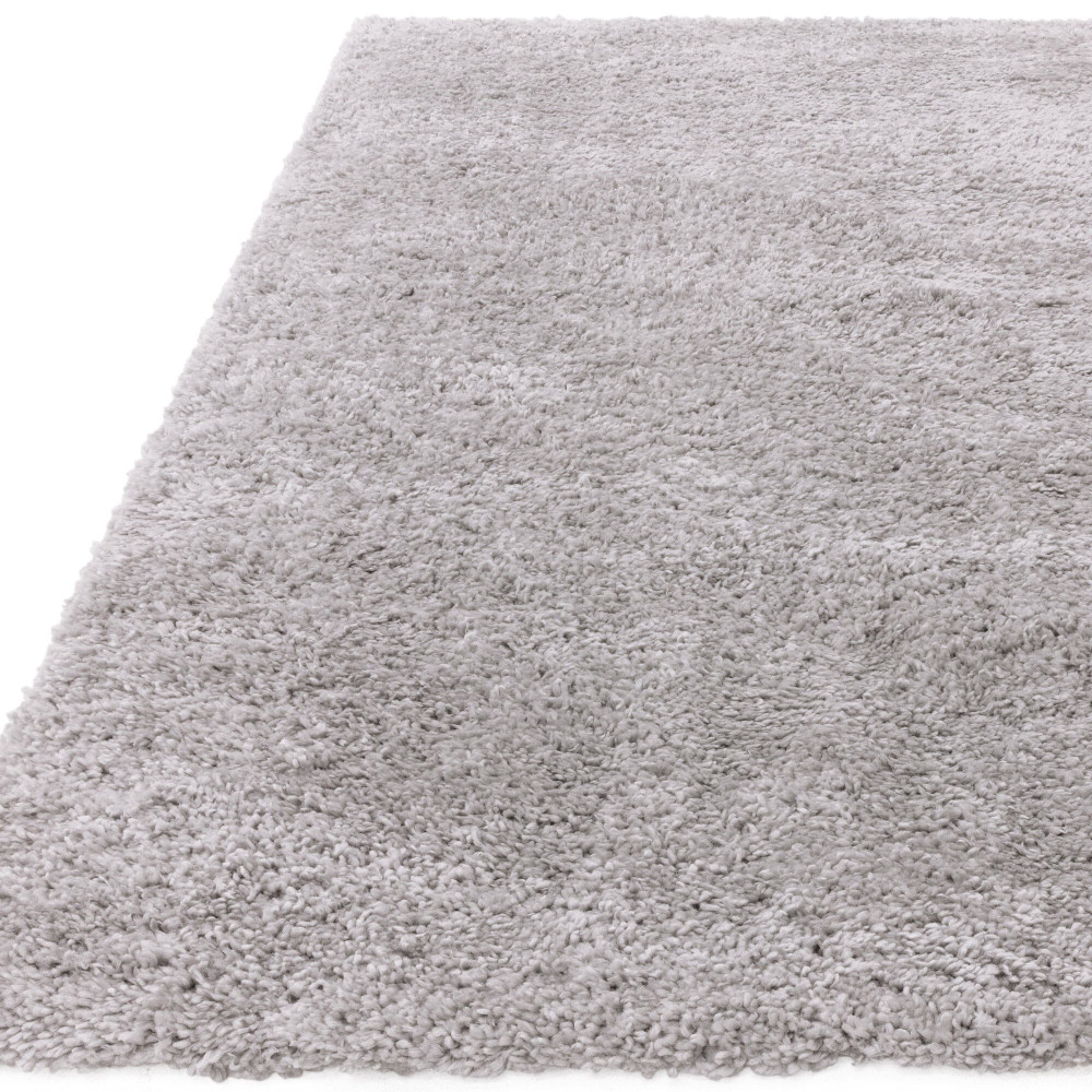 ASY Ritchie 160x230cm Light Grey Rug