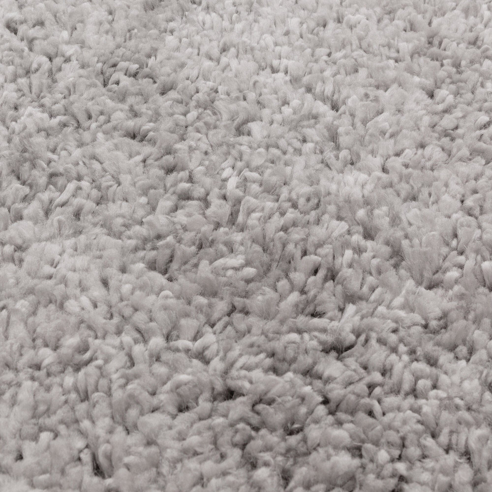 ASY Ritchie 160x230cm Light Grey Rug