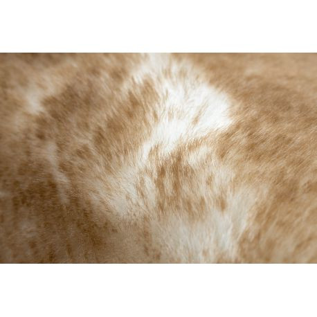 Kab. Modern, mosható szőnyeg LAPIN shaggy, csúszásgátló elefántcsont / barna 133x180 cm Kab. Modern, mosható szőnyeg LAPIN shaggy, csúszásgátló elefántcsont / barna 133x180 cm