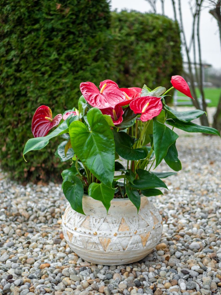 Kerámia virágcserép, MagicHome, világosbarna, aranyszínű mozaikkal díszített, átmérő: 36 cm, magasság: 23 cm, kézzel kirakott minták, kerek