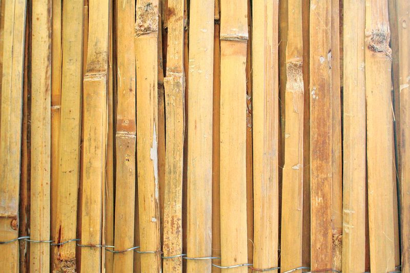 Bambuszkerítés, Strend Pro Garden BSF, 150 cm x 5 m, árnyékoló, szélfogó, térelválasztó